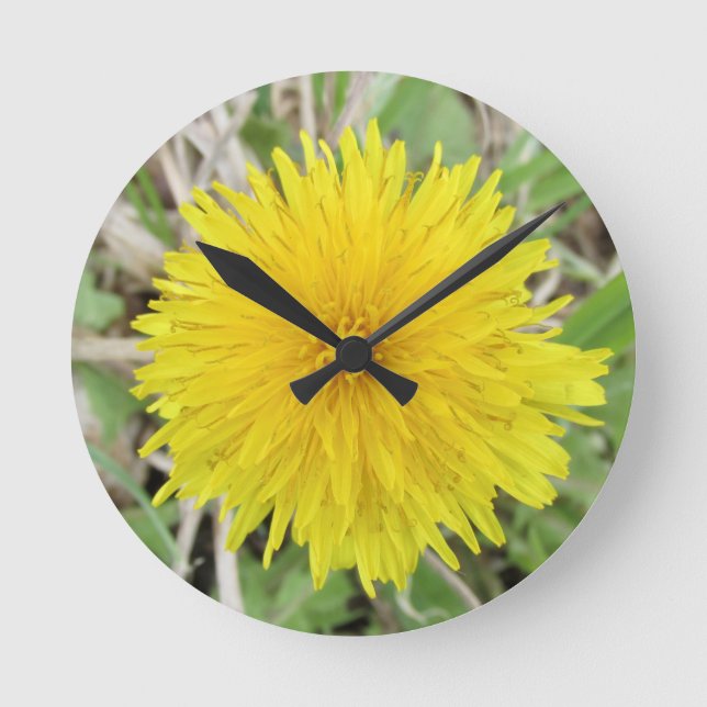 Proud Dandelion Flower. Round Clock (Front)