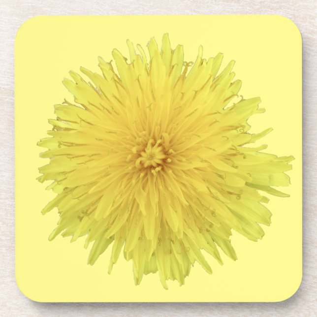 Proud Dandelion Flower - transparent. Coaster (Front)