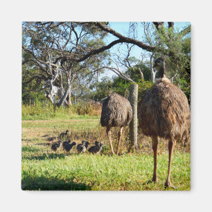 Proud Emu Parents, Fridge Magnet