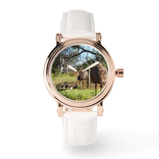 Proud Emu Parents With Chicks, Watch (Front)