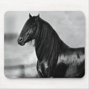 Proud Friesian black stallion horse Mouse Pad