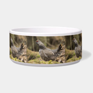 Proud Grouse