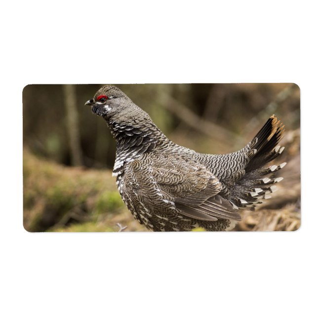 Proud Grouse (Front)