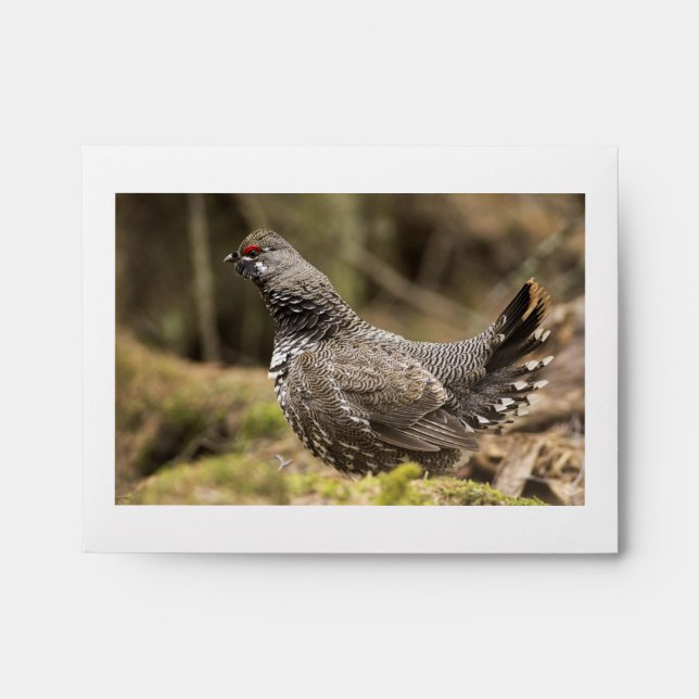 Proud Grouse Envelope (Front)