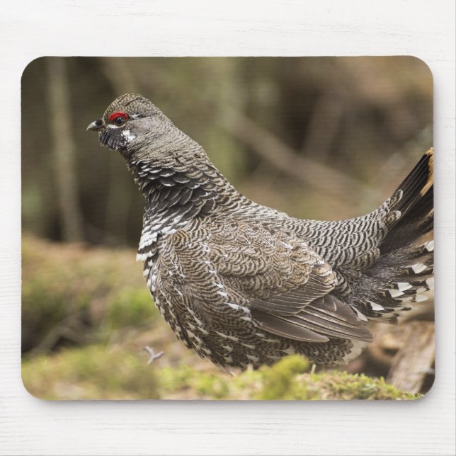 Proud Grouse Mouse Pad (Front)