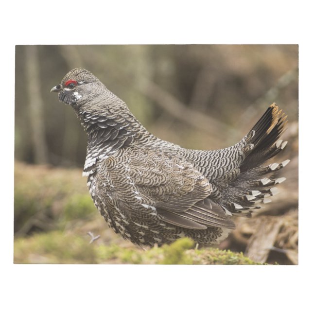 Proud Grouse Notepad (Front)