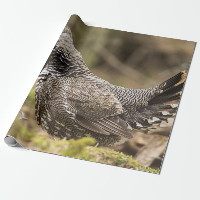 Proud Grouse Wrapping Paper (Unrolled)