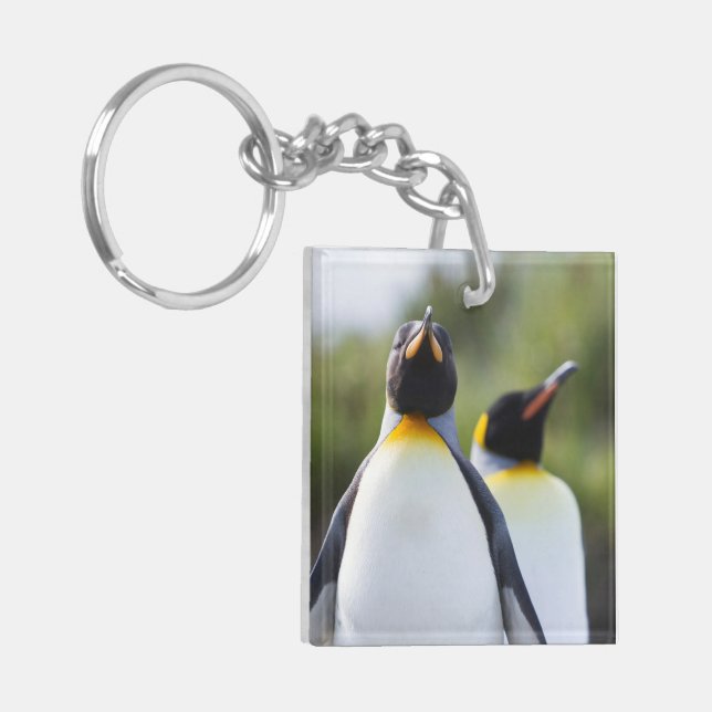 Proud King penguins photo Key Ring (Front Left)