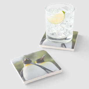 Proud King penguins photo Stone Coaster