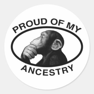 Proud Of My Ancestry Chimp Classic Round Sticker