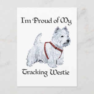 Proud of My Tracking Westie Postcard