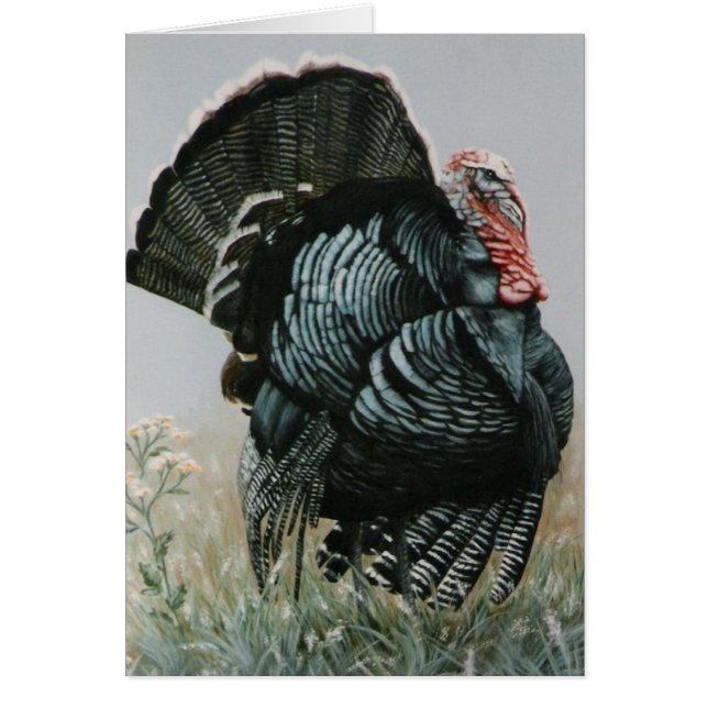 Proud ole Tom (Front)