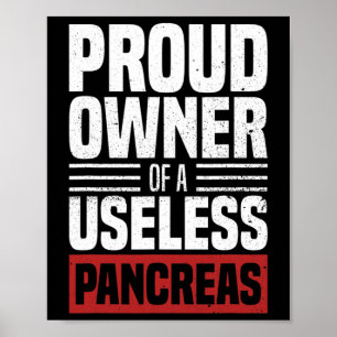 Proud Owner Of A Useless Pancreas Diabetes Awarene Poster