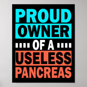 Proud Owner Of A Useless Pancreas Diabetes Awarene Poster
