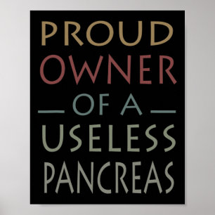 Proud Owner Of A Useless Pancreas Diabetes Awarene Poster