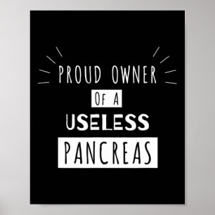 Proud Owner Of A Useless Pancreas Fun Diabetic Poster