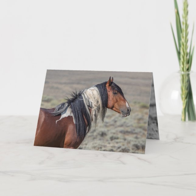 Proud Painted Stallion Wild Horse Greeting Card (Front)