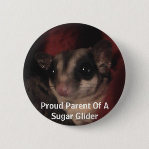 Proud Parent Of A Sugar Glider 6 Cm Round Badge