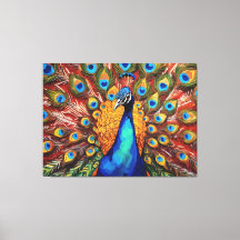 Proud Peacock 