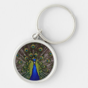 Proud Peacock key chain