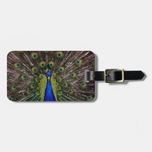 Proud Peacock luggage tag