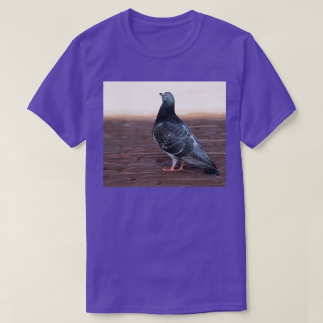 Proud pigeon 1 T-Shirt (Design Front)