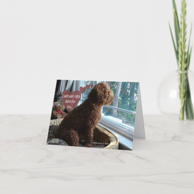 Proud Poodle - Missing You - Card (Front)