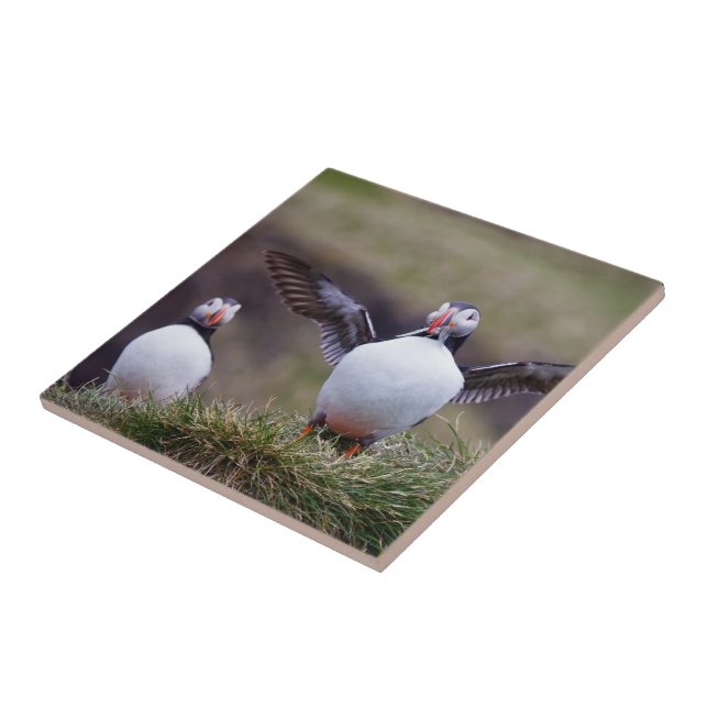 Proud Puffin Ceramic Tile (Side)