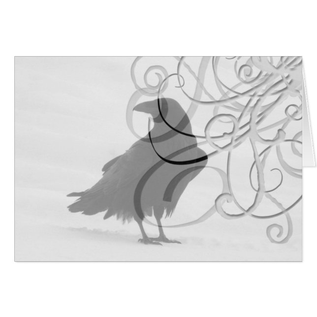 Proud Raven (Front Horizontal)