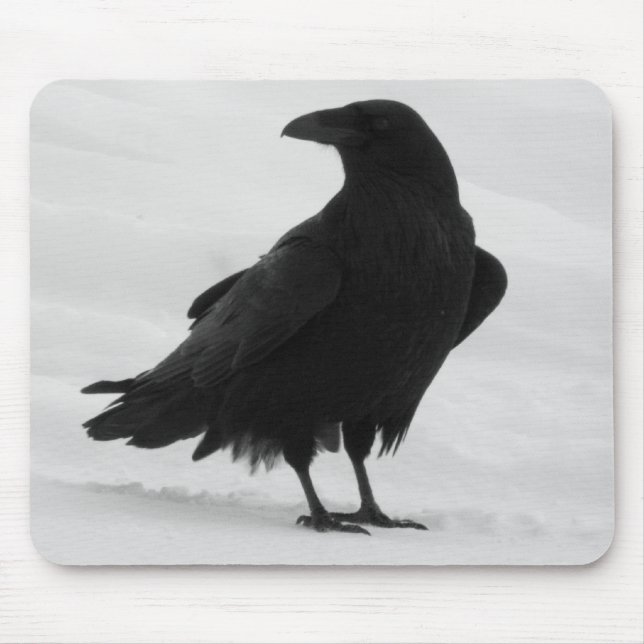 Proud Raven Mouse Pad (Front)