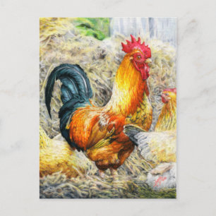 Proud Rooster Postcard