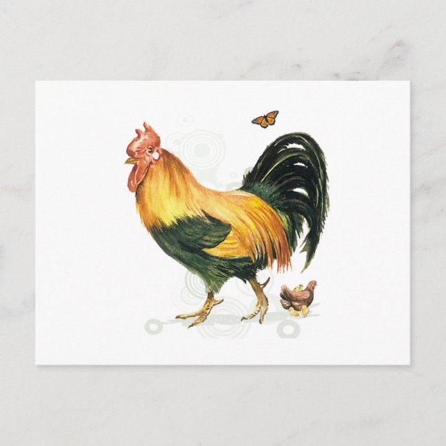 Proud Rooster with hen and chickens. Postcard (Front)