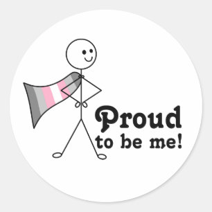 Proud to Be Me Demigirl Pride super hero Classic Round Sticker