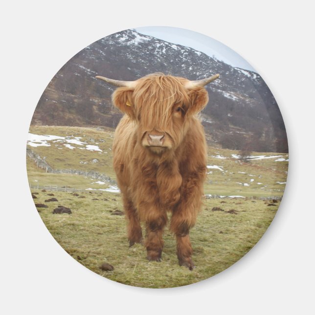 Proud to be Scottish! Magnet (Front)