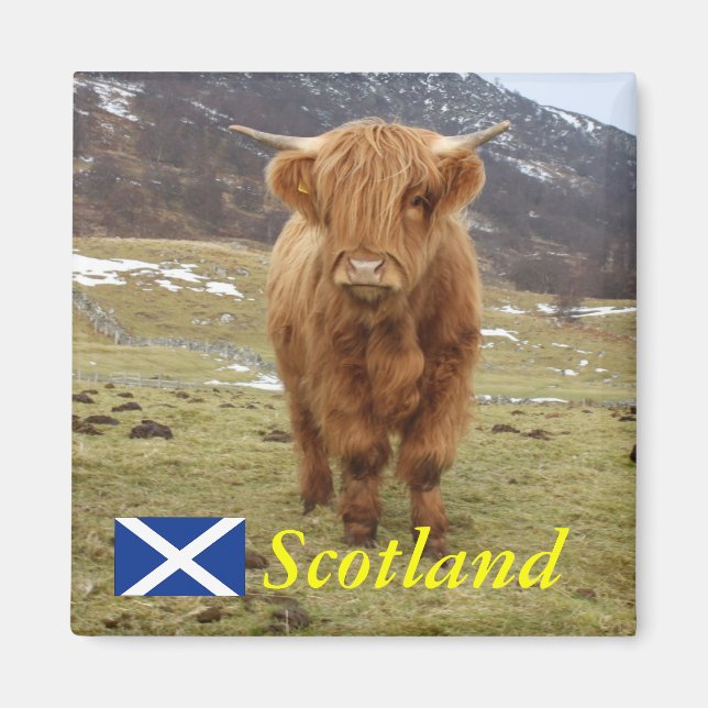 Proud to be Scottish! Magnet (Front)