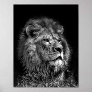 Proud Young Lion Poster