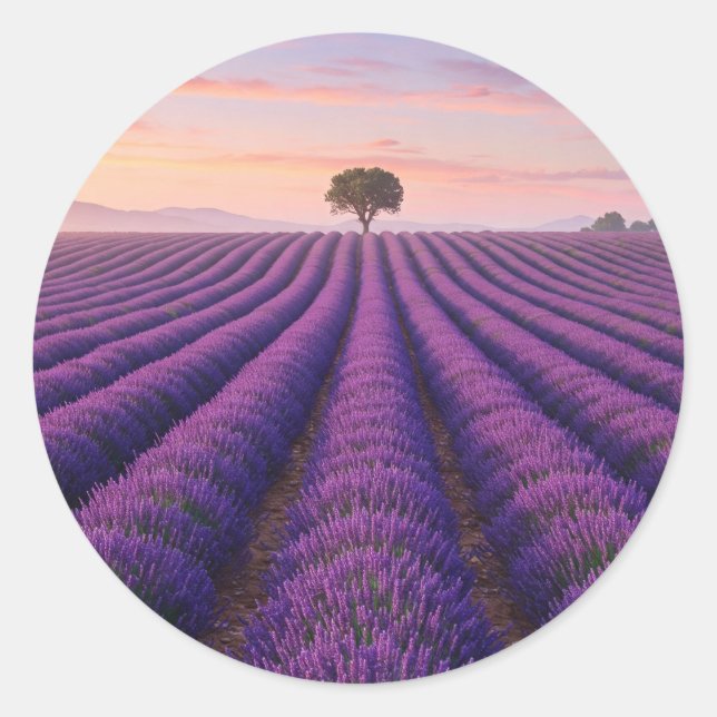 Provence France Lavender Fields  Classic Round Sticker (Front)