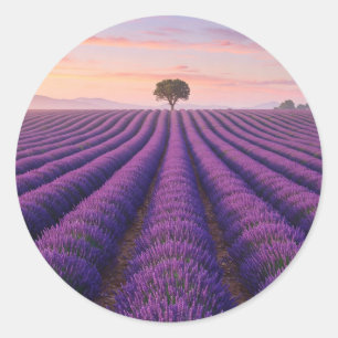 Provence France Lavender Fields Classic Round Sticker