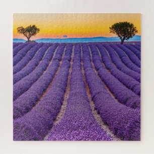 Provence, France.Plateau of Valensole. Jigsaw Puzzle