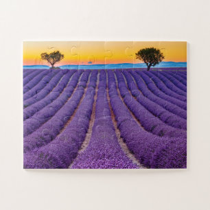 Provence, France. Plateau of Valensole. Jigsaw Puzzle