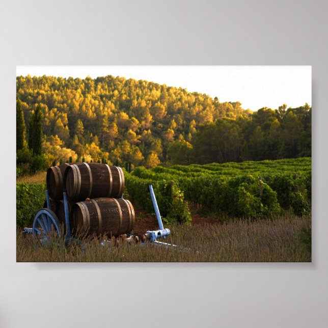 Provence, France Poster (Front)