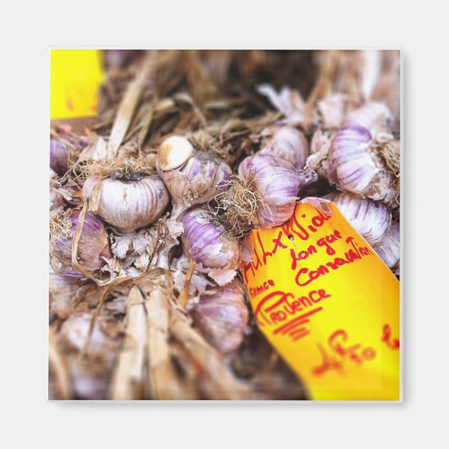 Provence Fresh Purple Garlic Magnet (Front)