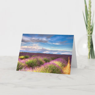 Provence - Lavender fields greeting card