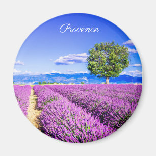Provence Magnet