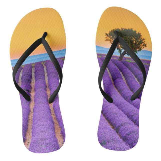 Provence Thongs (Footbed)