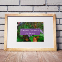 Proverb fortune favours the brave poster