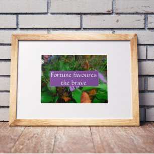 Proverb fortune favours the brave poster