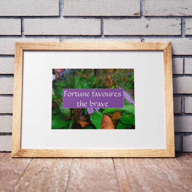 Proverb fortune favours the brave poster (Creator Uploaded)