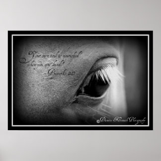 Proverbs 11:17 poster