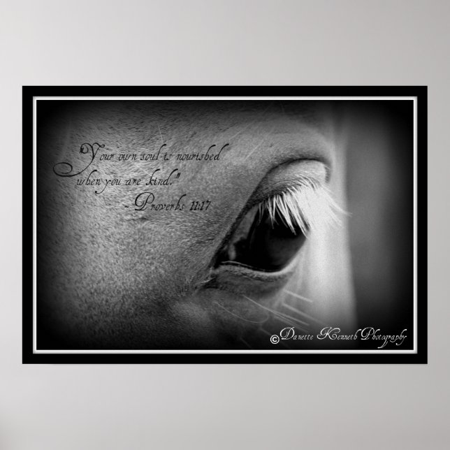 Proverbs 11:17 poster (Front)